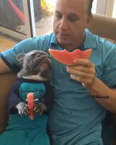 Dad: I don&rsquo;t want a dog .... Now: