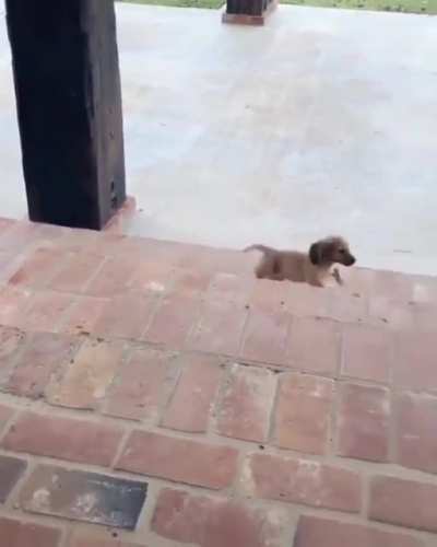 How to make an entrance.