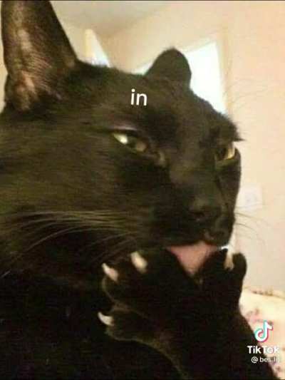 In de