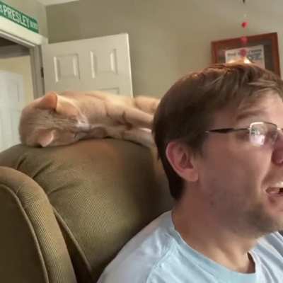 Anybody else working from home?