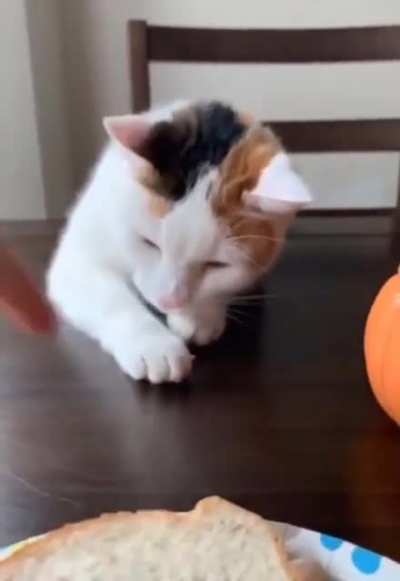 If I close my eyes, you Can&rsquo;t see me
