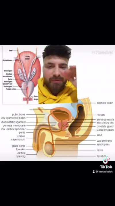 Whats in semen? look at this video to find out, any constructive criticism is welcome ( @instatikdoc on tiktok for the captions if you don&rsquo;t understand my accent 😂)