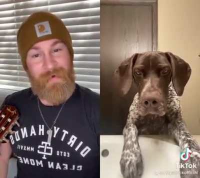 cute pupper wants a song