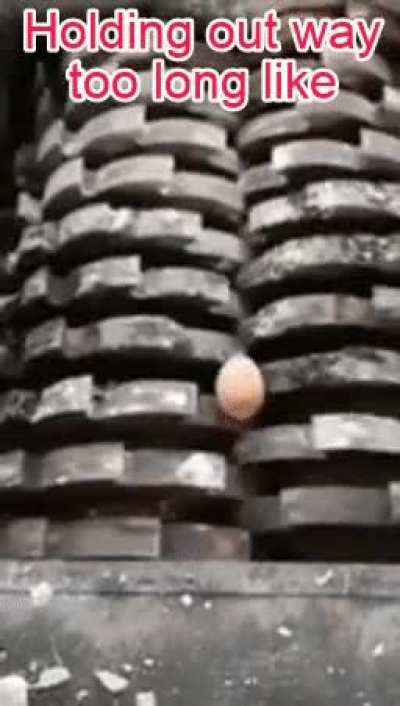 egg_irl