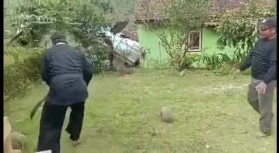 HMB "Hey young man, hold my beer. Check this out"