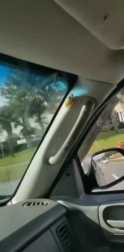 You dead