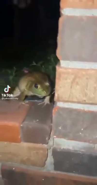 Surprise!