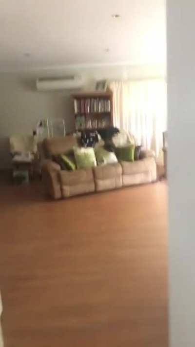 Loud noises