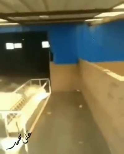 Que brutamonte