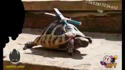 Bu videoyu cehennemin dibinden &ccedil;ıkarıp getirdim
