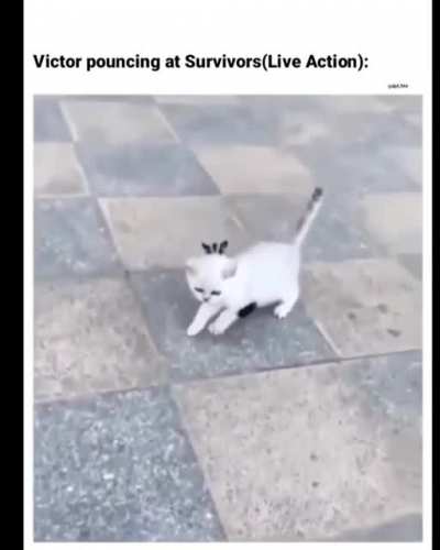 RUN