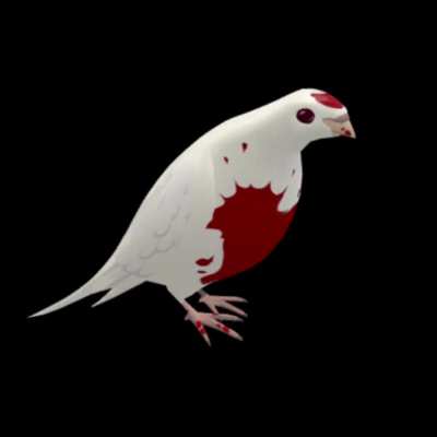 punishing bird&rsquo;s archimedes arc