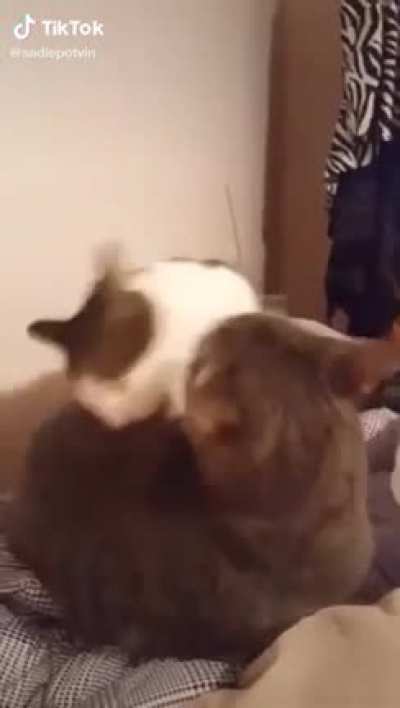 pure terror