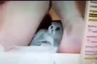 😳