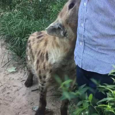 yeen_irl
