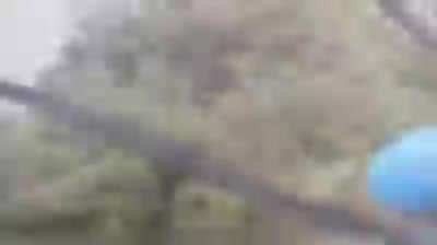 Crossing an unsafe bridge.