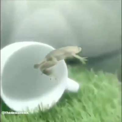 Momento aerodin&aacute;mico