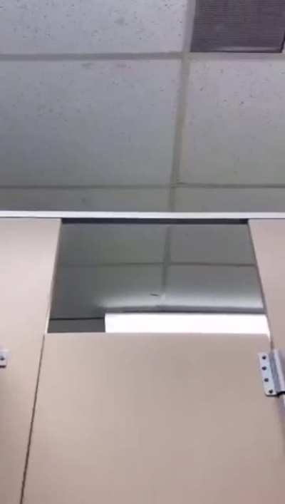 School toilet