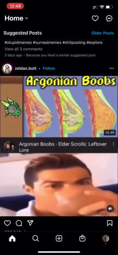 bbnnbnb