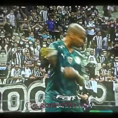 APENAS