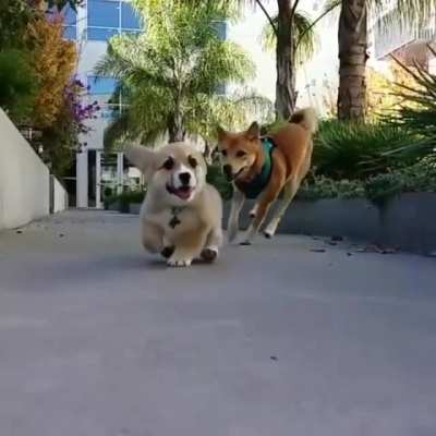 A close call