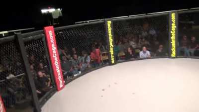 MMA 