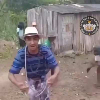 O caos perfeito