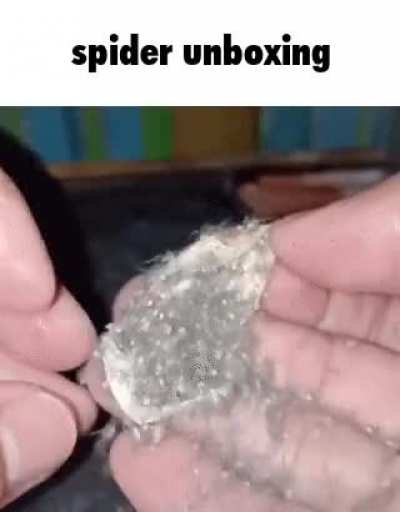 Rule