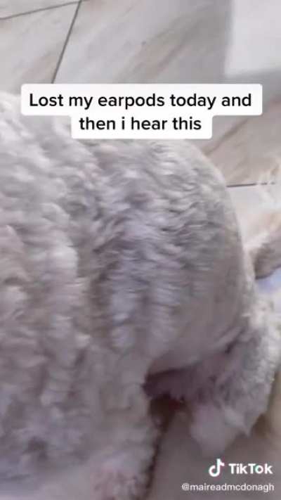 Maybe maybe maybe