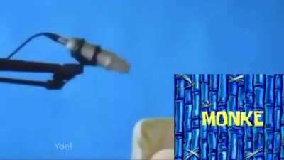 Monke