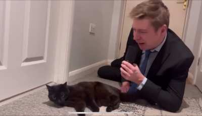 He did the cat