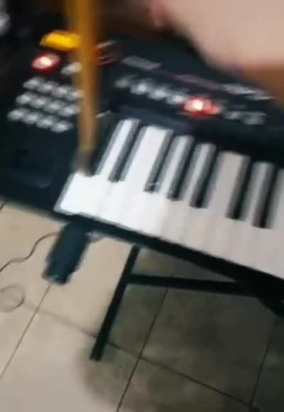 Piano pro player.