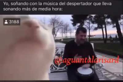 Xd