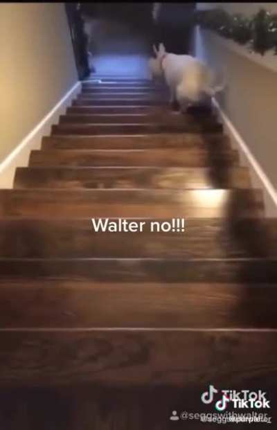F*ck the stairs--