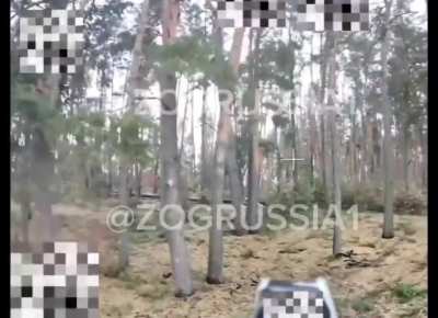 A fiber-optic FPV drone flies between trees and hits a Ukrainian FV 432 APC, Kursk Region 