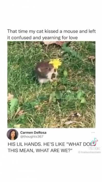 Confusing times