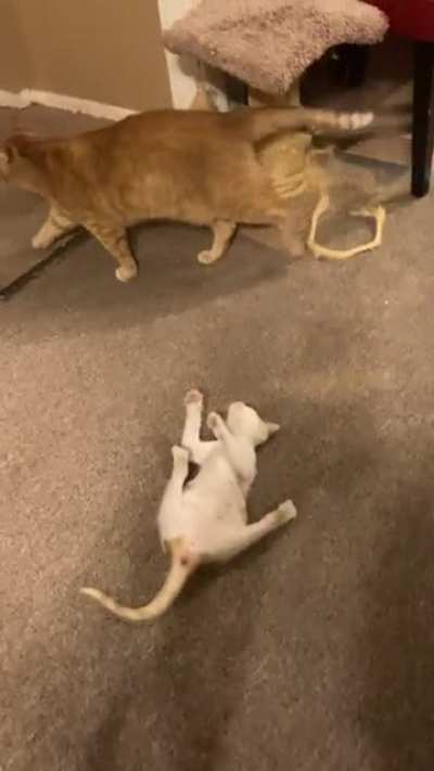 Ну нахер..