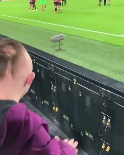 This is lovely! If this doesn&rsquo;t make you smile this morning nothing will