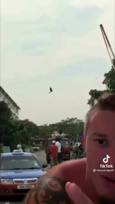 Real or edited? Compilation of more birds "freezing" mid-air.