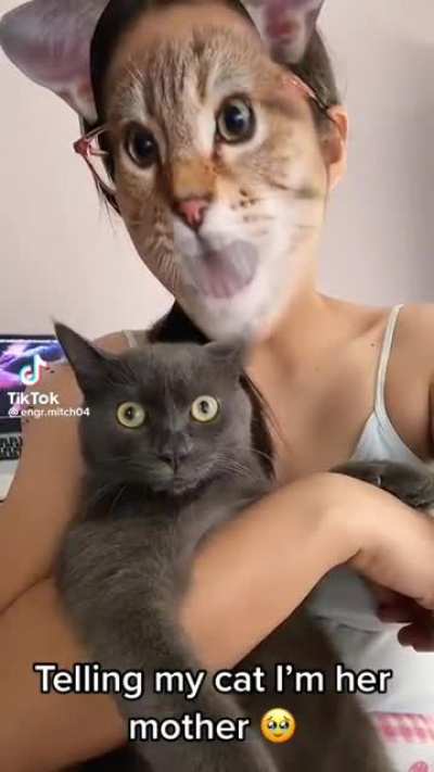 Startled Cat &amp;amp; her Momma