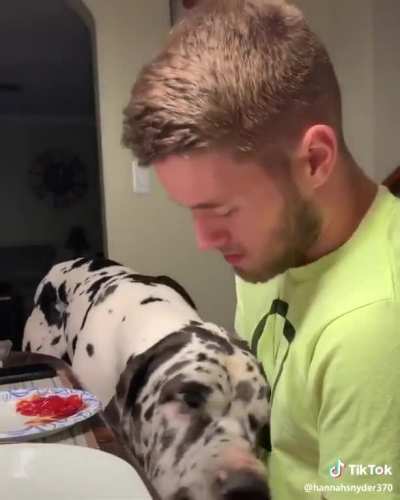 Big boy get up in owner&rsquo;s face and tells him what&rsquo;s what