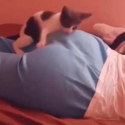 lick aSs