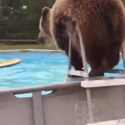 Enjoying the pool