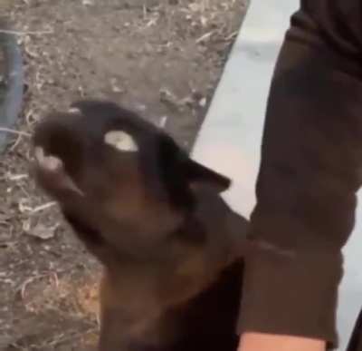 That&rsquo;s the spot