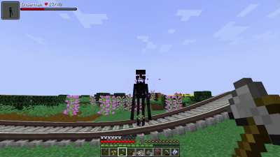 "I like trains" -Enderman