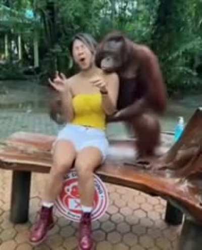 INtEr speCiES dAtE EXperImeNT Goes WROnG ...