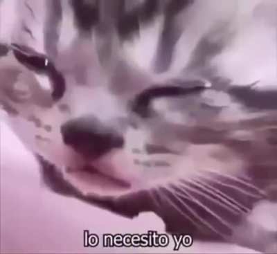 El Muchacho