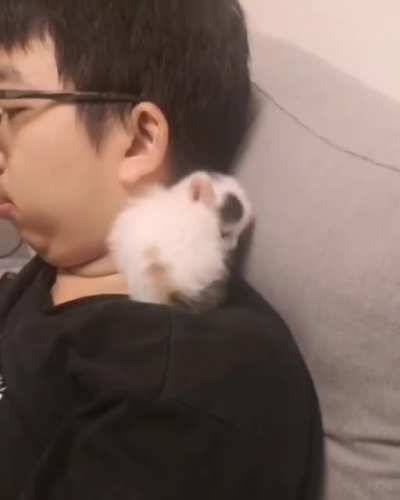 Finding The Best Spot To Sleep