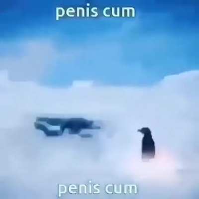 Shitpost