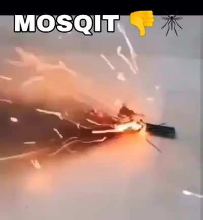 Mosqit👎🦟